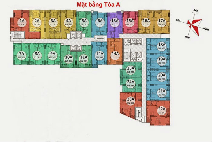 Mặt bằng tòa A chung cư Geleximco Lê Trọng Tấn